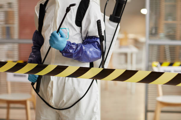Professional Blood Cleanup technician working in Pasadena, TX